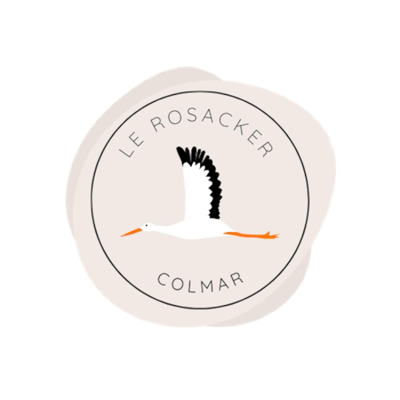 Le Rosacker - Proche Centre Ville Et Gare - Terrasse - Parking Gratuit 2 Places - 2 Chambres - 2 Salles De Bain - Netflix 콜마 외부 사진